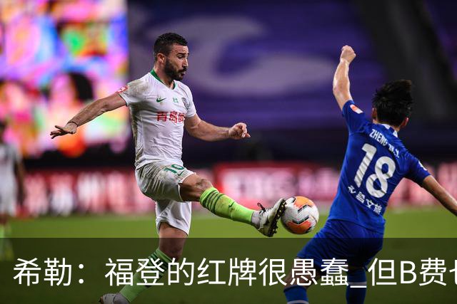 希勒：福登的红牌很愚蠢 但B费也应该被红牌罚下，如果罚就都得罚